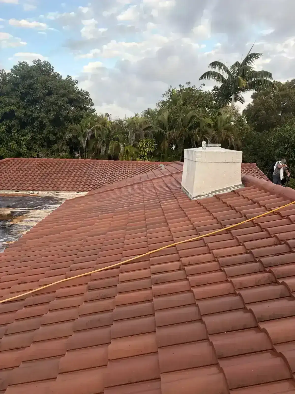 Professional Soft Wash Roof Cleaning in Miami